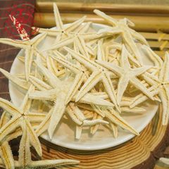 Sao Biển Khô 8-10cm