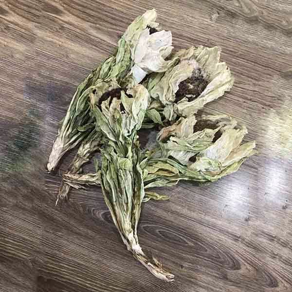  Hoa Thiên Sơn Tuyết Liên (Loại 65g) 