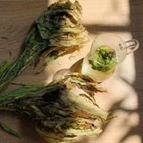 Hoa Thiên Sơn Tuyết Liên (Loại 65g)