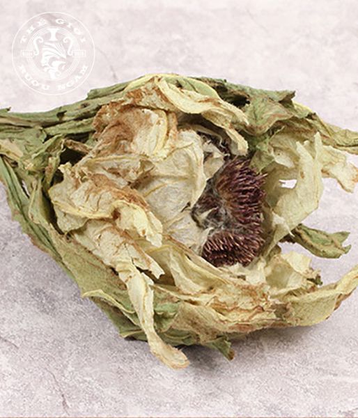  Hoa Thiên Sơn Tuyết Liên Khô Bông Nhỏ 3-4 Năm Tuổi 