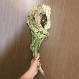 Hoa Thiên Sơn Tuyết Liên (Loại 85g)