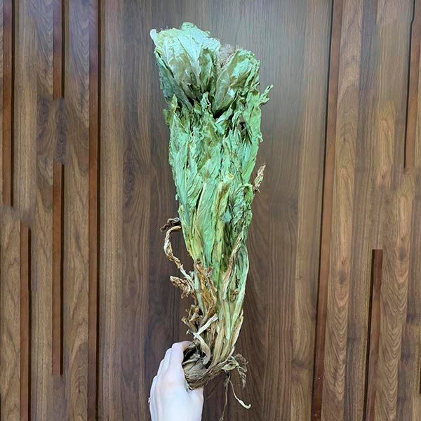  Hoa Thiên Sơn Tuyết Liên (Loại 85g) 