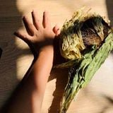 Hoa Thiên Sơn Tuyết Liên (Loại 85g)