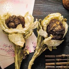 Hoa Thiên Sơn Tuyết Liên Khô Bông Nhỏ 3-4 Năm Tuổi