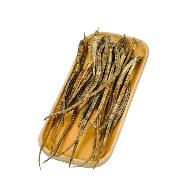  Hải Xà Ngâm Rượu 