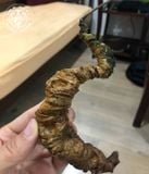 Sâm Ngọc Linh Rừng Kon Tum (100g)