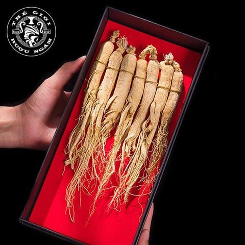 Sâm Trường Bạch Khô