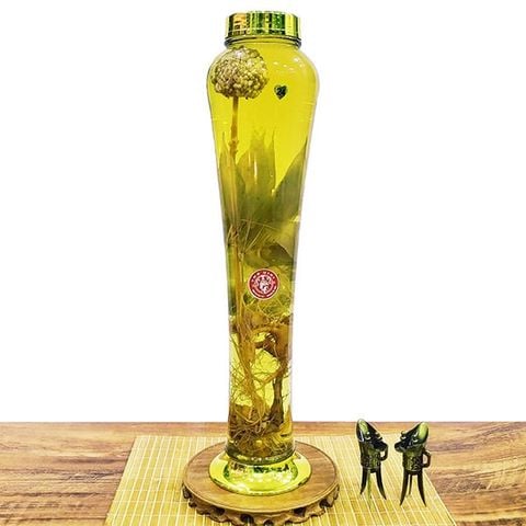 Bình Tam Thất Bắc 5 Lít