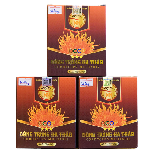 Đông Trùng Hạ Thảo Ký Chủ Nhộng Tằm Hộp 50 Con