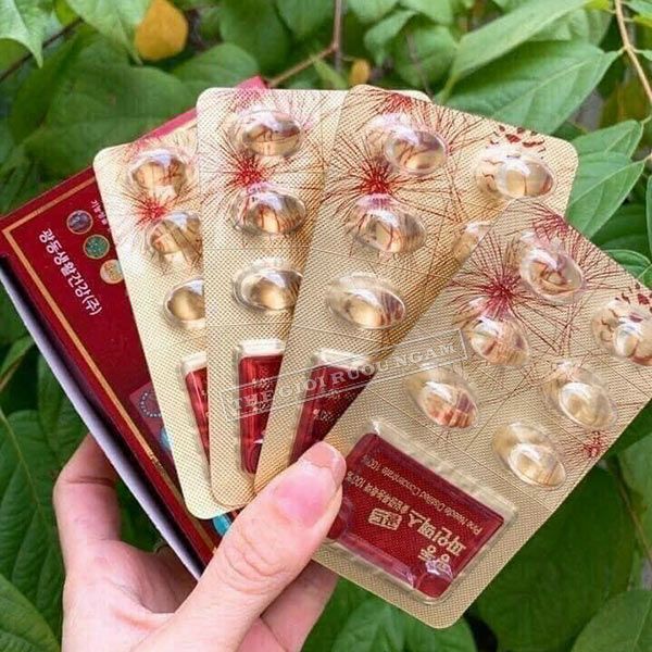  Tinh Dầu Thông Đỏ Kwangdong Hàn Quốc Hộp 120 Viên Uống 