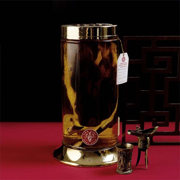  Bình Trầm Hương Mắt Tử 