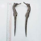 Cá ngựa chúa Indonesia khô 22cm (cặp)