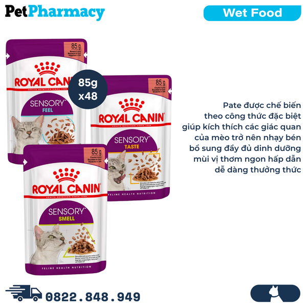  Combo Pate mèo Royal Canin Sensory Smelly, Taste, Feel in Gravy 85g - 48 gói 