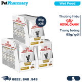  Combo Pate mèo Royal Canin Urinary Loaf 85g - 36 gói - Trị sỏi bàng quang 