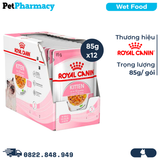  Pate mèo Royal Canin Kitten Jelly 85g - Hộp 12 gói 