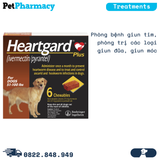  Heartgard Plus 51-100lbs - Viên nhai phòng Giun tim chó 22.5-45kg - 1 hộp 6 viên 