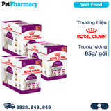  Combo Pate mèo Royal Canin Sensory Smelly, Taste, Feel in Gravy 85g - 36 gói 