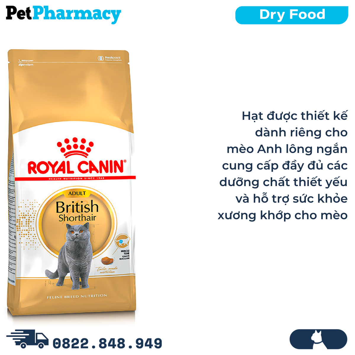  Thức ăn mèo Royal Canin British Shorthair Adult 6kg PetPharmacy 