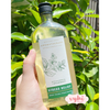 Sữa tắm Bath & Body Works 295ml