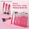 Set cọ Jessup T195 Rose Carmine 25 cây