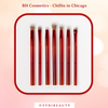Set cọ BH Cosmetics Chillin in Chicago - 10 cọ mắt (rách hộp)