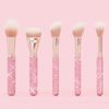 Set cọ Plouise Crystal Brush Bundle 20 cây