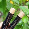Thỏi bắt sáng Morphe Dimension Effect Highlight Stick