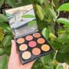 Bảng mắt Morphe 9D Painted Desert