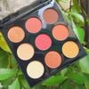 Bảng mắt Morphe 9D Painted Desert