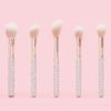 Set cọ Plouise Crystal Brush Bundle 20 cây