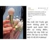 Set cọ Plouise Crystal Brush Bundle 20 cây