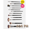 Set cọ AOA PM 12 cây