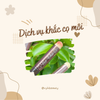 Cọ môi đầu tròn