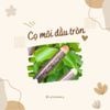 Cọ môi đầu tròn