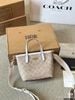 Túi tote Coach mini 20cm