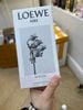 Nước hoa Loewe Aire Sutileza EDT 100ml