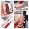 Case son Dior Addict Lipstick Case
