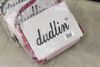 Túi Dudlin kèm dây đeo chéo bản to size 20 x 15 x 6 cm