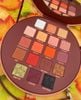 Bảng mắt Jeffree Star Pricked 18 ô