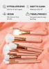 Set cọ AOA Paw Paw Rose Gold 10 cây cây kèm hộp đựng