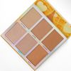 Bảng tạo khối BH Cosmetics Belgian Waffle 6 color