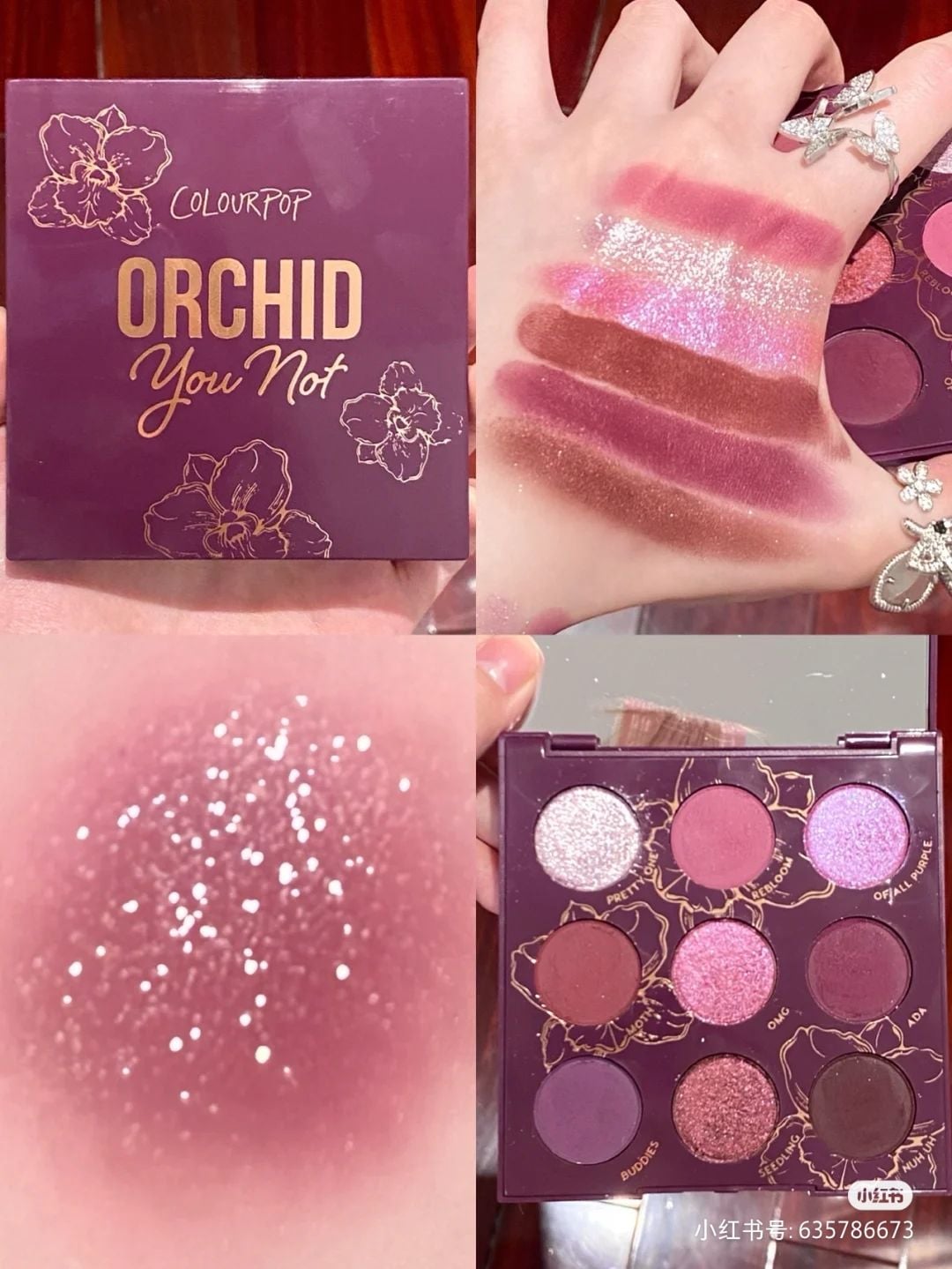 Bảng mắt Colourpop Orchid Yout Not 9 ô