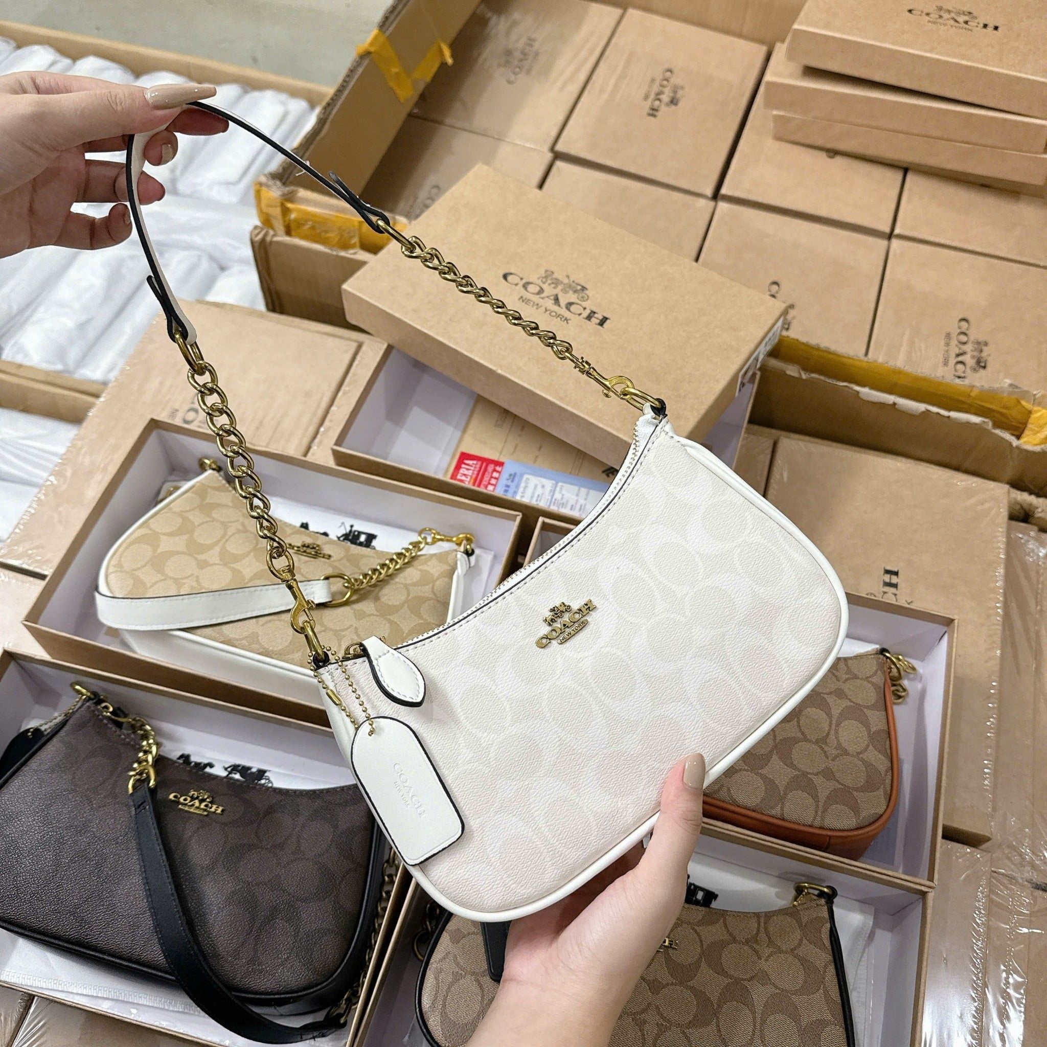 Túi Coach Teri Shoulder Bag In Signature Canvas 24 × 13 × 7 cm