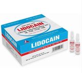  Lidocain tiêm H 100 ống VP 