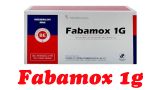  Fabamox 1g hộp 100 viên TW1 