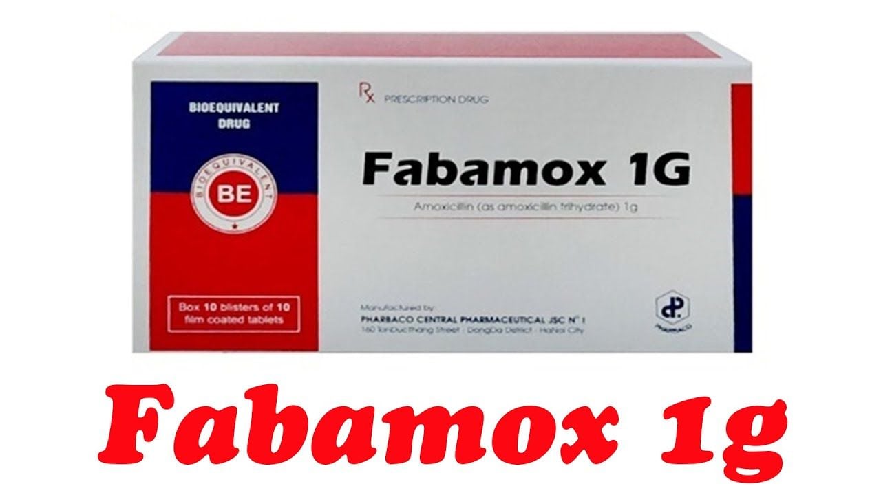  Fabamox 1g hộp 100 viên TW1 