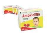  Amoxicillin 250mg hộp 30 gói MKF 
