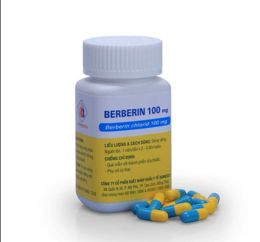  Berberin 120mg lọ 120 viên Đồng Tháp 
