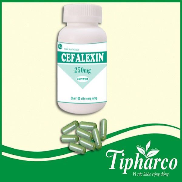  Cefalexin 250mg lọ 100v Tiền Giang 