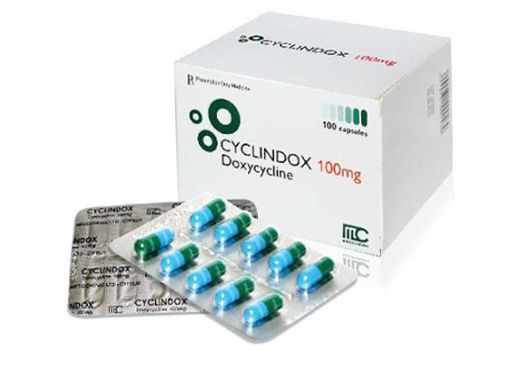 Cyclindox 100mg hộp 100 viên 